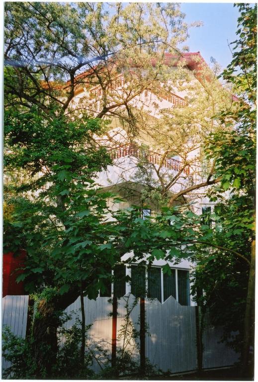 Vila Elena エフォリエ・ノルド エクステリア 写真